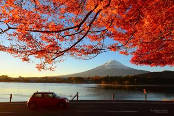 Du Lịch Nhật Bản (Cung Đường Vàng): Tokyo - Fuji - Kyoto - Osaka