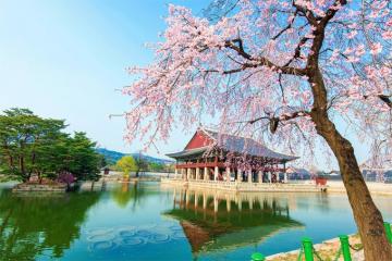 Những điều không nên làm khi du lịch Hàn Quốc để có chuyến đi trọn vẹn