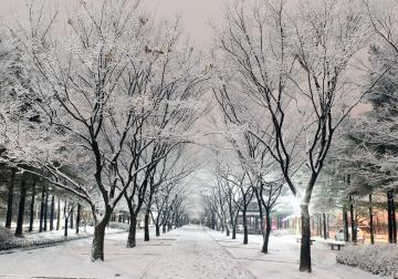 Lời hẹn ước mùa đông xứ Hàn, cùng đặt tour và trải nghiệm sự thú vị