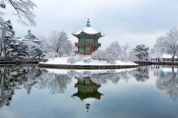 Du Lịch Hàn Quốc Mùa Đông: Seoul - Nami - Khu Trượt Tuyết Jisan Resort