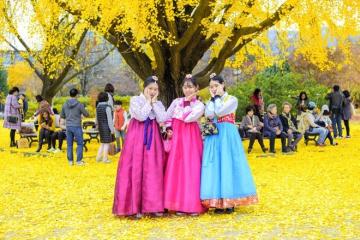 Top 5 trải nghiệm thú vị bạn nên biết khi đến du lịch Hàn Quốc vào mùa thu
