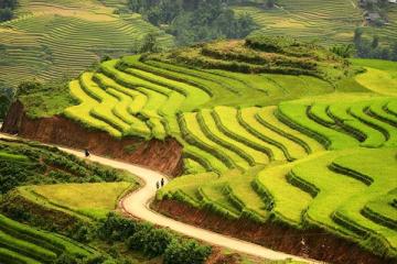 NGÀY 01: TP.HCM – HÀ NỘI – LÀO CAI – SAPA (Ăn trưa, chiều)