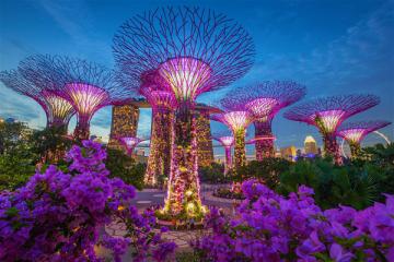 NGÀY 02: SINGAPORE - GARDEN BY THE BAY - SENTOSA - SPECTRA SHOW (Ăn sáng, trưa, tối)